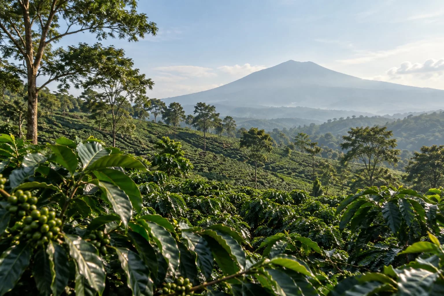 AI landscape illustration inspired by Java coffee highlands